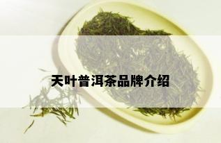 天叶普洱茶品牌介绍