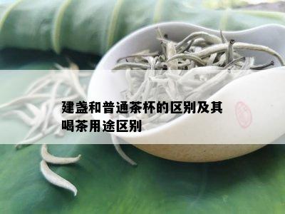 建盏和普通茶杯的区别及其喝茶用途区别