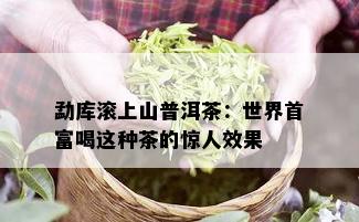 勐库滚上山普洱茶：世界首富喝这种茶的惊人效果