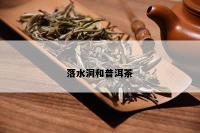 落水洞和普洱茶