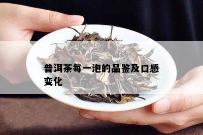 普洱茶每一泡的品鉴及口感变化