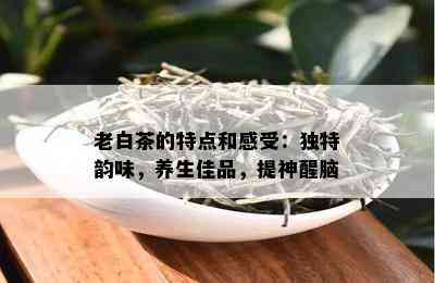 老白茶的特点和感受：独特韵味，养生佳品，提神醒脑