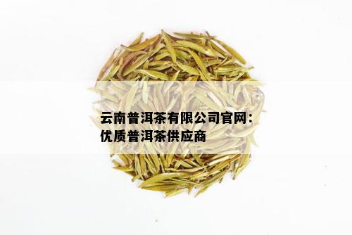 云南普洱茶有限公司官网：优质普洱茶供应商