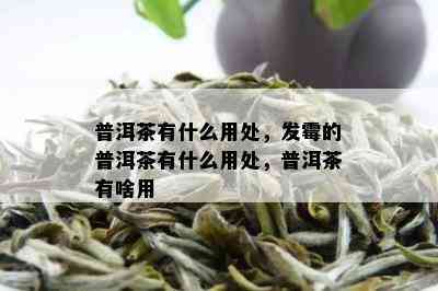 普洱茶有什么用处，发霉的普洱茶有什么用处，普洱茶有啥用