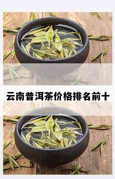 云南普洱茶价格排名前十