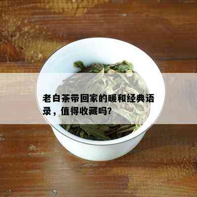 老白茶带回家的暖和经典语录，值得收藏吗？