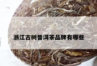 浙江古树普洱茶品牌有哪些