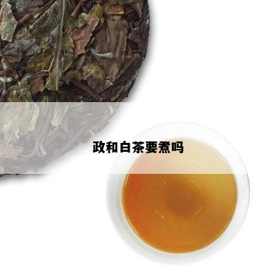 政和白茶要煮吗