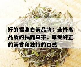 好的福鼎白茶品牌：选择高品质的福鼎白茶，享受纯正的茶香和独特的口感