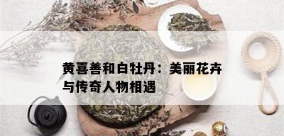 黄喜善和白牡丹：美丽花卉与传奇人物相遇