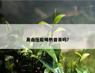 高血压能喝熟普茶吗？