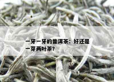 一牙一牙的普洱茶：好还是一芽两叶茶？