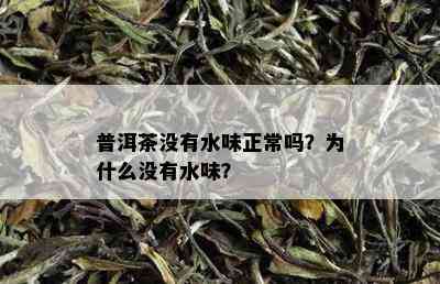 普洱茶没有水味正常吗？为什么没有水味？