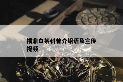 福鼎白茶科普介绍语及宣传视频