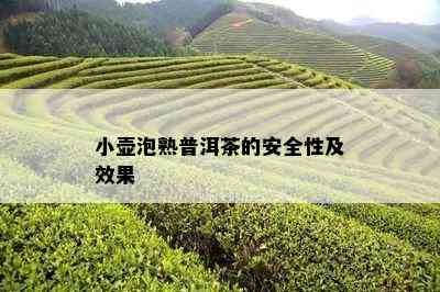 小壶泡熟普洱茶的安全性及效果