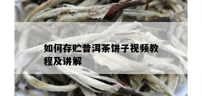 如何存贮普洱茶饼子视频教程及讲解