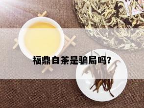 福鼎白茶是骗局吗？