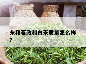 东和茗政和白茶质量怎么样？