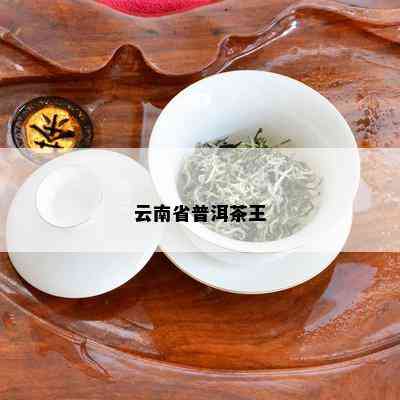 云南省普洱茶王