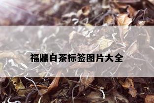 福鼎白茶标签图片大全