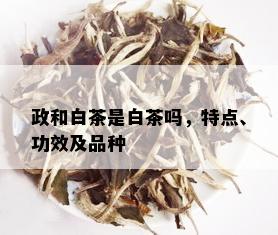 政和白茶是白茶吗，特点、功效及品种