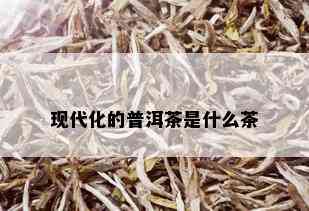 现代化的普洱茶是什么茶