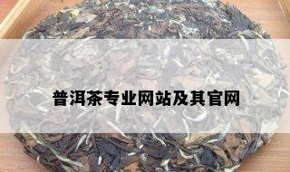 普洱茶专业网站及其官网