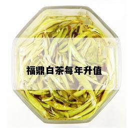 福鼎白茶每年升值