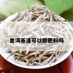 普洱茶渣可以做肥料吗