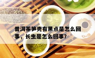 普洱茶笋壳有黑点是怎么回事，长虫是怎么回事？