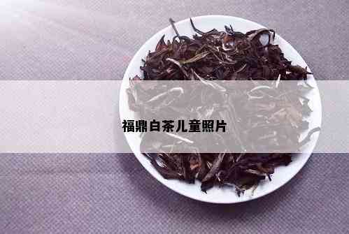 福鼎白茶儿童照片