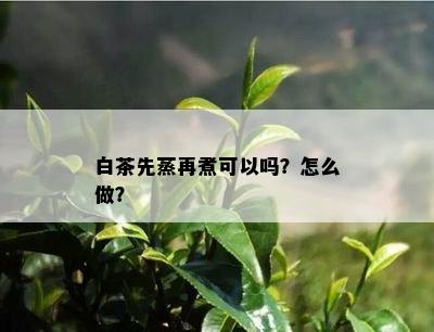 白茶先蒸再煮可以吗？怎么做？