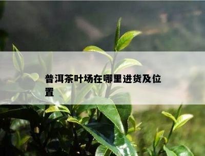 普洱茶叶场在哪里进货及位置