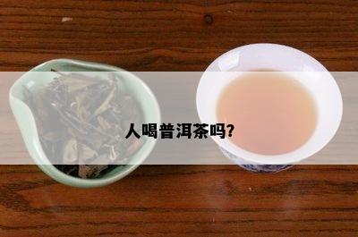 人喝普洱茶吗？