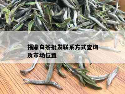 福鼎白茶批发联系方式查询及市场位置