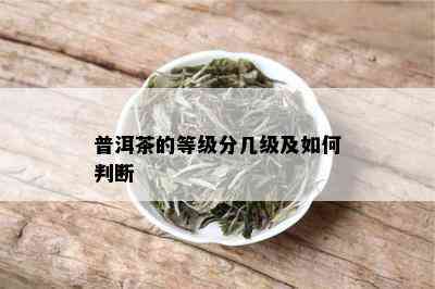 普洱茶的等级分几级及如何判断