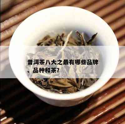 普洱茶八大之最有哪些品牌、品种和茶？