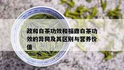 政和白茶功效和福鼎白茶功效的异同及其区别与营养价值