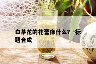 白茶花的花蕾像什么？-标题合成