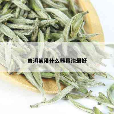 普洱茶用什么器具泡更好