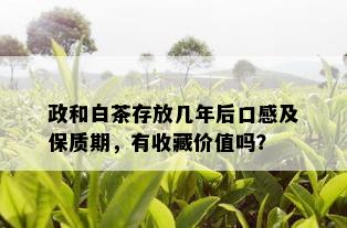 政和白茶存放几年后口感及保质期，有收藏价值吗？