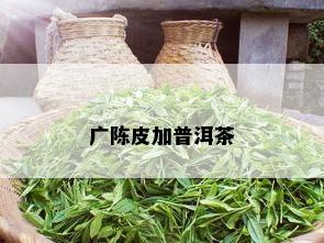 广陈皮加普洱茶