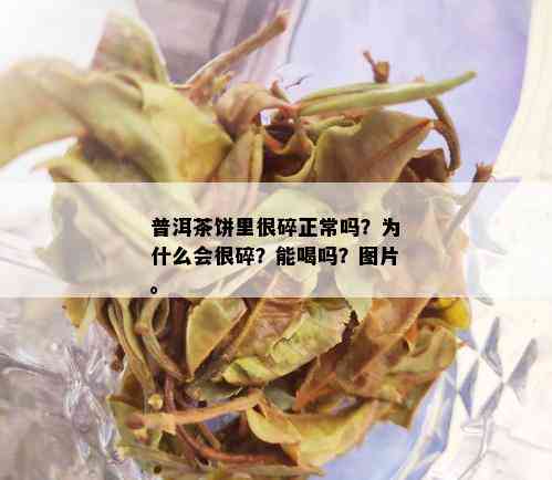 普洱茶饼里很碎正常吗？为什么会很碎？能喝吗？图片。