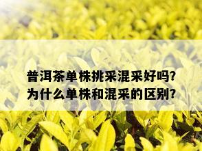 普洱茶单株挑采混采好吗？为什么单株和混采的区别？