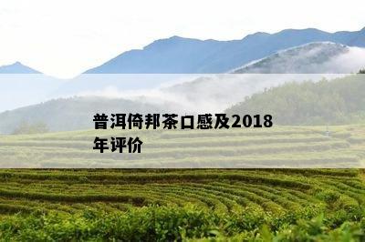 普洱倚邦茶口感及2018年评价