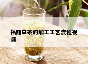 福鼎白茶的加工工艺流程视频