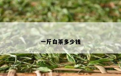 一斤白茶多少钱