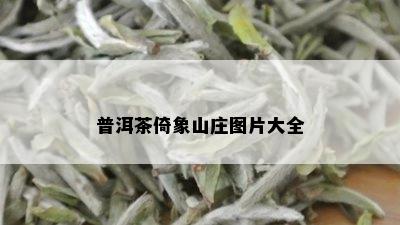 普洱茶倚象山庄图片大全