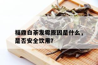 福鼎白茶发霉原因是什么，是否安全饮用？