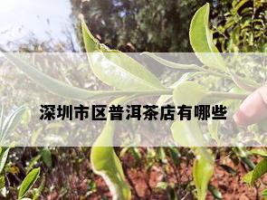 深圳市区普洱茶店有哪些